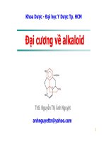 Bai giang dai cuong alkaloid 6 2013 (cao dang duoc) 