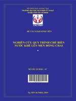 nghiên cứu quy trình chế biến nước khế lên men đóng chai