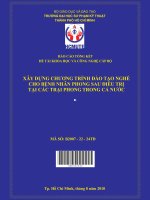 xây dựng chương trình đào tạo nghề cho bệnh nhân phong sau điều trị tại các trại phong trong cả nước 