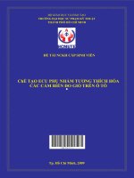 chế tạo ecu phụ nhằm tương thích hóa các cảm biến đo gió trên ô tô