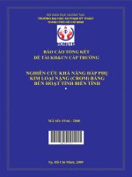 nghiên cứu khả năng hấp phụ kim loại nặng (crom) bằng bùn hoạt tính biến tính 