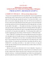 Tính Toán Cân Bằng Nhiệt Lò Ram Liên Tục Năng Suất 30T Ngày Đêm 1250 Kg.H