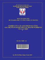 nghiên cứu các giải pháp gia tăng giá trị tờ in dành cho các doanh nghiệp in vừa và nhỏ 