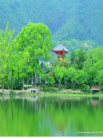 Chăm sóc cây trồng vật nuôi