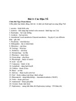 Bài 2 các hậu tố   giải bài tập yhocthuchanh2015 (1)