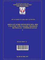 khảo sát sơ bộ thành phần hóa học cây lược vàng callisia fragrans – họ thài lài – commelinaceae 