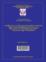 nghiên cứu và chế tạo màng mỏng nano tio2 trên nafion membrane để nâng cao hiệu suất của pin nhiên liệu dùng methanol trực tiếp (dmfc) 