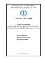 skkn HƯỚNG dẫn học SINH KHAI THÁC có HIỆU QUẢ KÊNH HÌNH TRONG SÁCH GIÁO KHOA địa lí 11 (CHUẨN) 