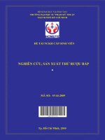 nghiên cứu, sản xuất thử rượu bắp 