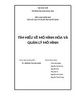 TÌM HIỂU VỀ MÔ HÌNH HÓA VÀ QUẢN LÝ MÔ HÌNH