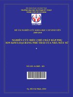 nghiên cứu điều chế chất hấp phụ ion kim loại bằng phế thải của nhà máy sứ 