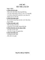 Giáo án mầm non: Tết và mùa xuân