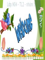 Tòa Công lý Châu Âu vừa là Tòa án quốc tế vừa là Tòa án quốc gia