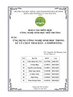 ỨNG DỤNG CÔNG NGHỆ SINH HỌC TRONG XỬ LÝ CHẤT THẢI RẮN - COMPOSTING