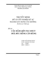 Đồ Án Cầu Dầm Liên Tục BTCT DƯL Đúc Hẫng Cân Bằng (Kèm Bản Vẽ Cad)