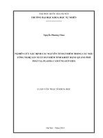 Nghiên cứu xác định các nguyên tố đất hiếm trong các mẫu công nghệ sản xuất đất hiếm tinh khiết bằng quang phổ phát xạ plasma cảm ứng (ICP OES) 