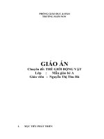 Giáo án mầm non: Thế giới động vật