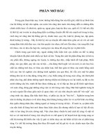 tiểu luận cao học Tình hình tội phạm hình sự trên địa bàn thành phố long xuyên trong năm 2011   2012 và giải pháp