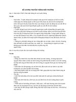 ĐỀ CƯƠNG TRUYỀN THÔNG môi TRƯỜNG