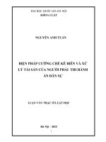 Biện pháp cưỡng chế kê biên và xử lý tài sản của người phải thi hành án dân sự 
