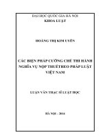 Các biện pháp cưỡng chế thi hành nghĩa vụ nộp thuế theo pháp luật việt nam 