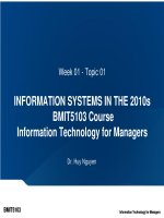 Week 01   topic 01   information systems in the 2010s