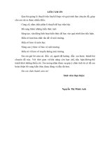 Tổ chức thực hiện chương trình tập huấn nâng cao nhận thức cộng đồng dân cư về khai thác và sử dụng lâm sản ngoài gỗ của người dân Lục Dạ, huyện Con Cuông, tỉnh Nghệ An