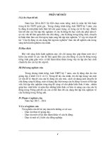 sánh kiến kinh nghiệm tiếng anh