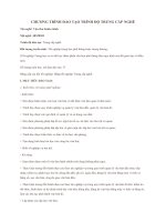 CHƯƠNG TRÌNH ĐÀO TẠO TRÌNH ĐỘ  TRUNG CẤP NGHỀ VTHC