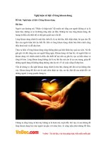 Văn mẫu lớp 12: Nghị luận xã hội về lòng khoan dung