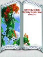 Giáo án điện tử Tiết dạy giỏi Robinsơn ngoài đảo hoang  Ngữ văn 9