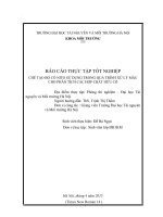 BÁO CÁO THỰC TẬP TỐT NGHIỆP: CHẾ TẠO BỘ CÔ NITO SỬ DỤNG TRONG QUÁ TRÌNH XỬ LÝ MẪU CHO PHÂN TÍCH CÁC HỢP CHẤT HỮU CƠ