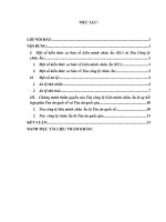 Tòa Công Lý Châu Âu vừa là Tòa án quốc tế vừa là Tòa án Quốc gia (bản word)