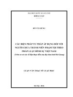 Các biện pháp tư pháp áp dụng đối với người chưa thành niên phạm tội theo pháp luật hình sự việt nam ( trên cơ sở các số liệu thực tiễn của địa bàn tỉnh hà giang) 