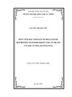 Phân tích đặc tính gen mã hóa enzyme methionine sulfoxide reductase từ hệ gen cây đậu tương 