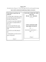 Mẫu chứng chỉ hành nghề hoạt động xây dựng