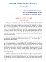 GIA ĐỊNH THÀNH THÔNG CHÍ