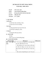 Giáo án GDTC ném trúng đích thẳng đứng 