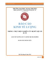 Báo cáo kinh tế lượng phân tích những số liệu thống kê nằm trong bộ số liệu số 26 và bộ số liệu số 81 về tỉ lệ phạm tội cũng như tỉ lệ hút thuốc lá trung bình của con người