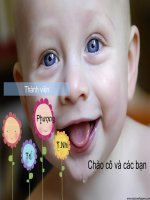 tiểu luận môn học hóa môi trường   mưa axit