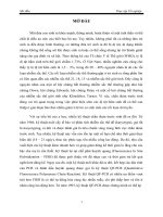 Thực tập tốt ngiệp ứng dụng kỹ thuật QF PCR trong chẩn đoán trước sinh các rối loạn nhiễm sắc thể thường gặp