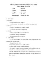 Tổ chức hoạt động vui chơi cho trẻ mẫu giáo 