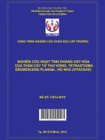 Nghiên cứu hoạt tính kháng oxy hóa của thân cây tứ thư hồng, tetrastigma erubescens planch , họ nho ( vitaceae ) 