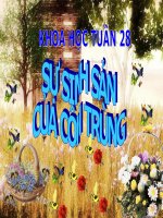 Slide Giáo án môn khoa học lớp 5 tuần 28: Sự sinh sản của công trùng