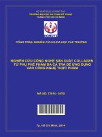 Nghiên cứu công nghệ sản xuất collagen từ phụ phế phẩm da cá tra để ứng dụng vào công nghệ thực phẩm 