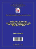 Nghiên cứu làm giàu U(VI) bằng hydrotalcite trong nước biển cho phân tích tỷ lệ 234u 238u bằng phổ kế alpha 