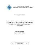 Chuẩn đoán và điều trị bệnh nấm da ở chó tại bệnh xá thú y, đại học cần thơ