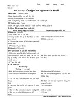 Giáo án môn khoa học lớp 5 tiết 20, 21