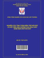 Nghiên cứu tính toán điện trở nối đất có xét đến ảnh hưởng của hóa chất giảm điện trở nối đất 