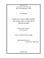 Tương tác tâm lý trên lớp học giữa giảng viên và sinh viên ở trường đại học